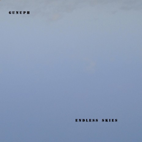 Endless Skies | Boomplay Music
