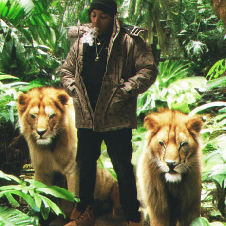 King of the Jungle | Boomplay Music