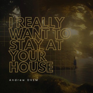 I Really Want to Stay At Your House