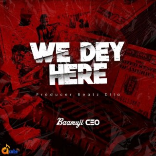 We dey here | Boomplay Music