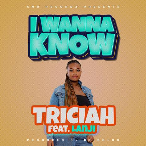 I wanna know ft. Lanji | Boomplay Music