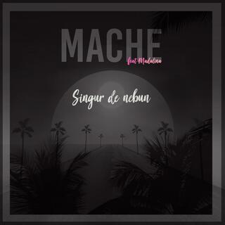 Singur de Nebun ft. Madalina lyrics | Boomplay Music