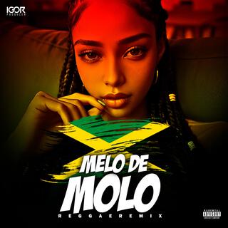 MELÔ DE MOLO (Reggae Remix Internacional)