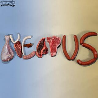 MEATUS