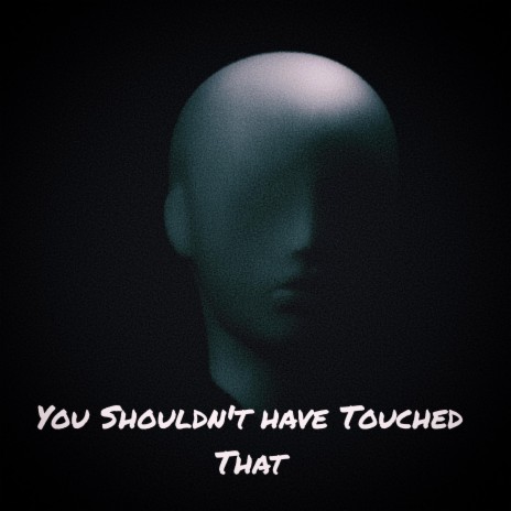 You Shouldn't Have Touched That | Boomplay Music
