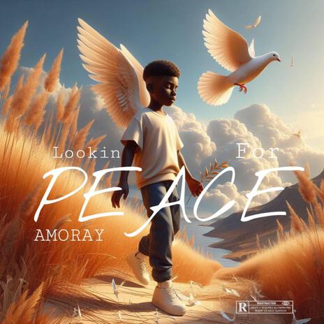 Lookin for peace | Boomplay Music