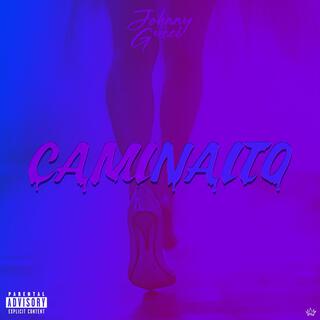 CAMINAITO lyrics | Boomplay Music