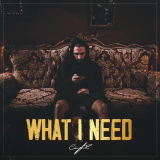 What I Need lyrics | Boomplay Music