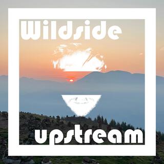 Wildside (Radio Edit)