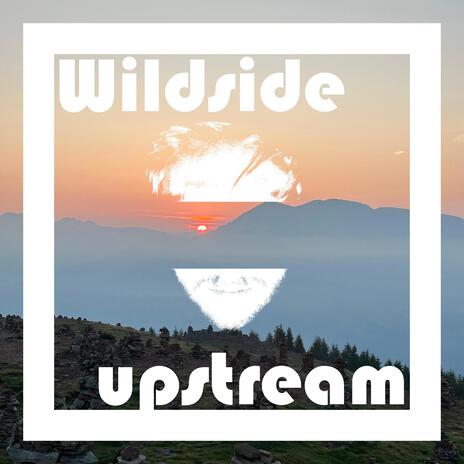 Wildside (Radio Edit) | Boomplay Music