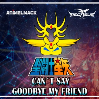 Can´t Say Goodbye My Friend (Saint Seiya)