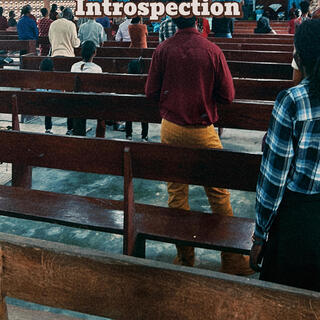 Introspection