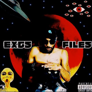 Excs Files