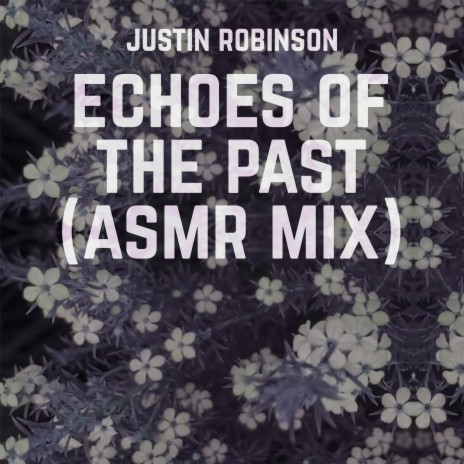 Echoes of the Past (ASMR Mix) | Boomplay Music