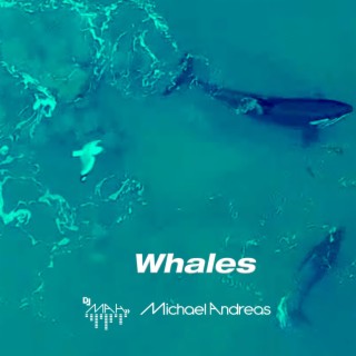 Whales