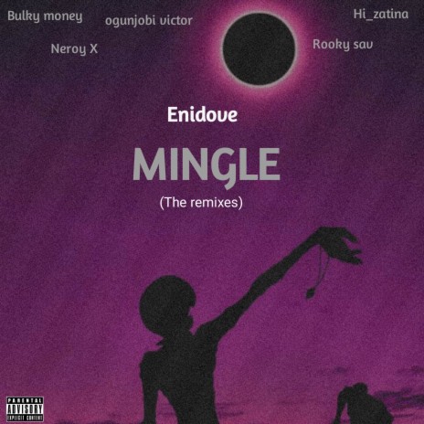 Mingle (feat. Rooky Sav) (Remix)