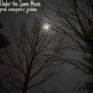 Under the Same Moon