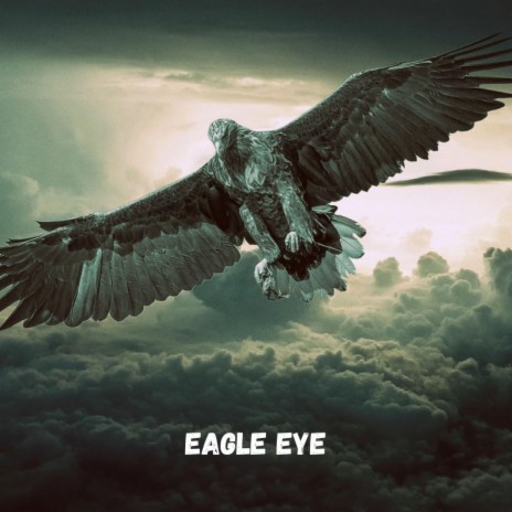 Eagle Eye | Boomplay Music