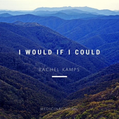 I Would If I Could | Boomplay Music