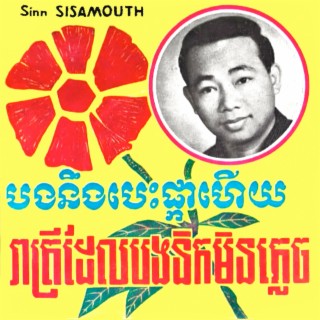 បងនឹងបេះផ្កាហើយ & រាត្រីដែលបងនឹកមិនភ្លេច