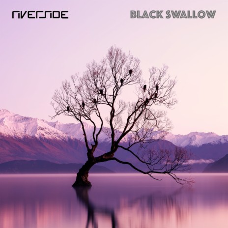 Black Swallow | Boomplay Music