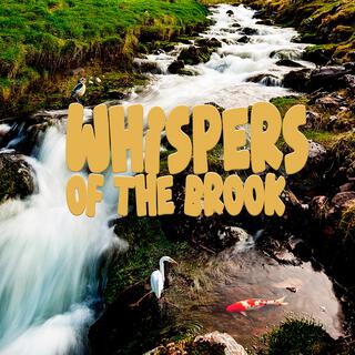 Whispers of the Brook