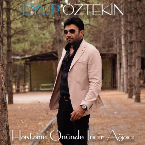 Hastane Önünde İncir Ağacı | Boomplay Music