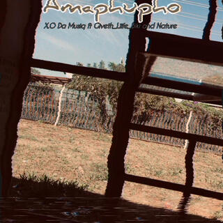 Amaphupho