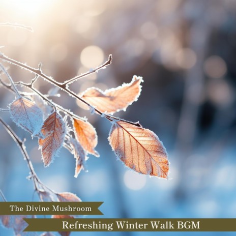 Winter Dawn's Gentle Morn | Boomplay Music