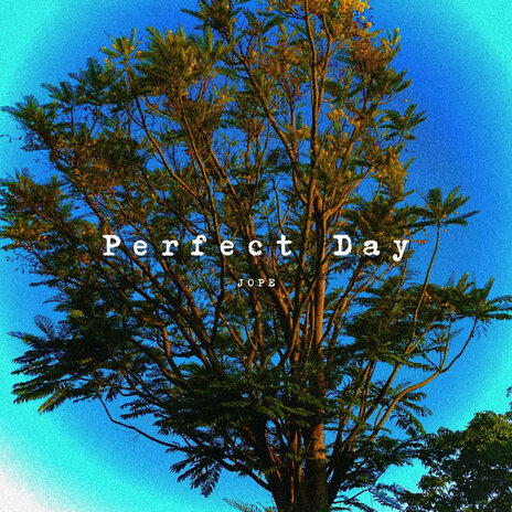 Perfect Day