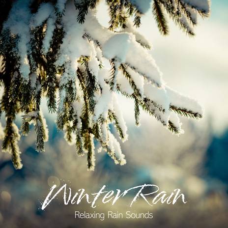 Heavy Winter Rain | Boomplay Music