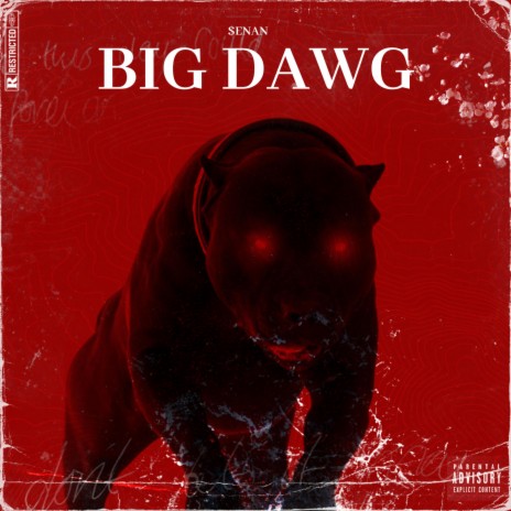 BIG DAWG | Boomplay Music