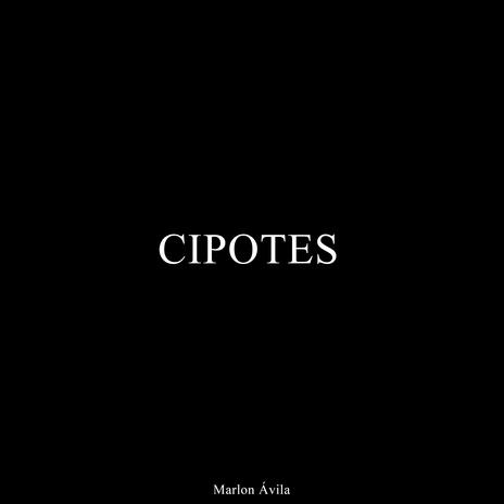 Cipotes | Boomplay Music