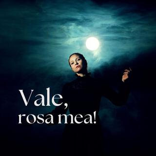 Vale, rosa mea