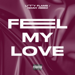 Feel My Love