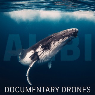 Documentary Drones