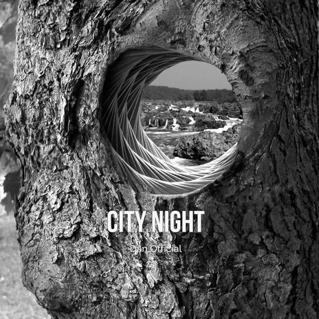 City Night (Dan Official)