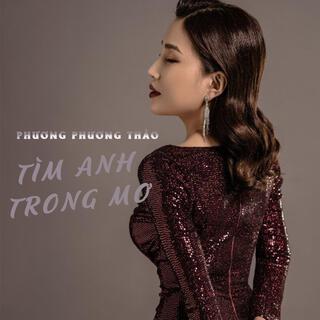 Tìm Anh Trong Mơ lyrics | Boomplay Music