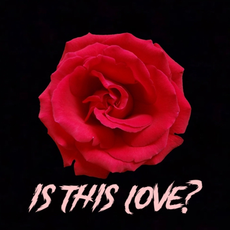 Is this love | Boomplay Music