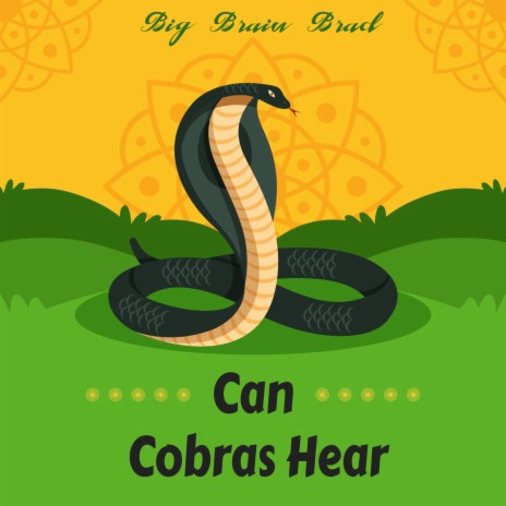 Can Cobras Hear | Boomplay Music