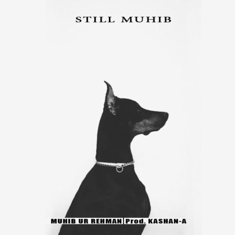 Still Muhib ft. Kashan Seth | Boomplay Music