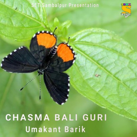 Chasma Bali Guri | Boomplay Music