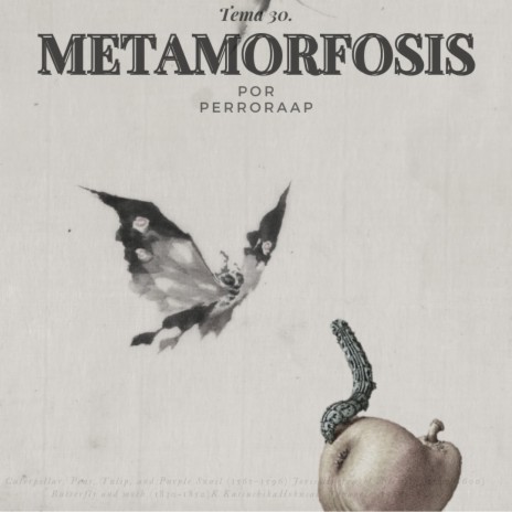 Tema 30. Metamorfosis | Boomplay Music