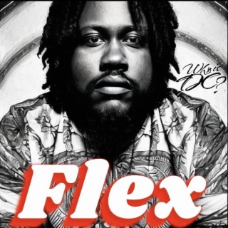 Flex (Radio Edit) lyrics | Boomplay Music