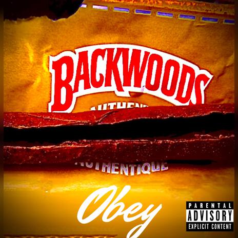 BACKWOODS | Boomplay Music