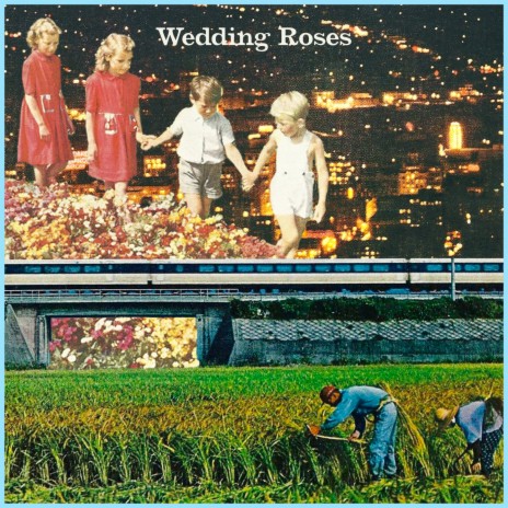 Wedding Roses | Boomplay Music