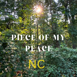 Piece Of My Peace