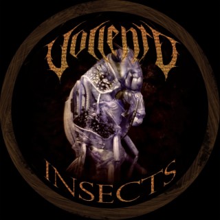 Insects