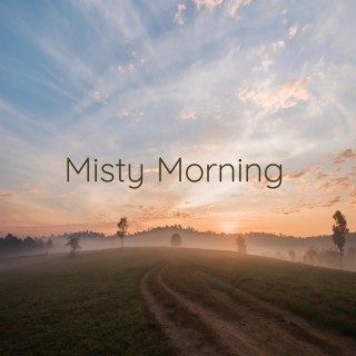 Misty Morning