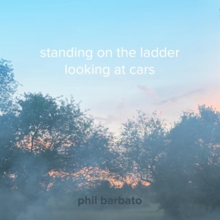 standing on the ladder looking at cars